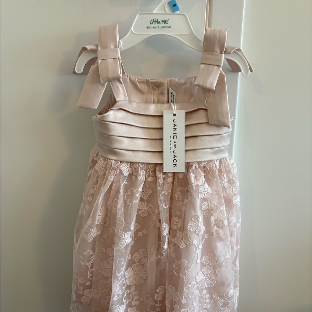 Janie and Jack Blush Floral Lace Dress (6-12 months)